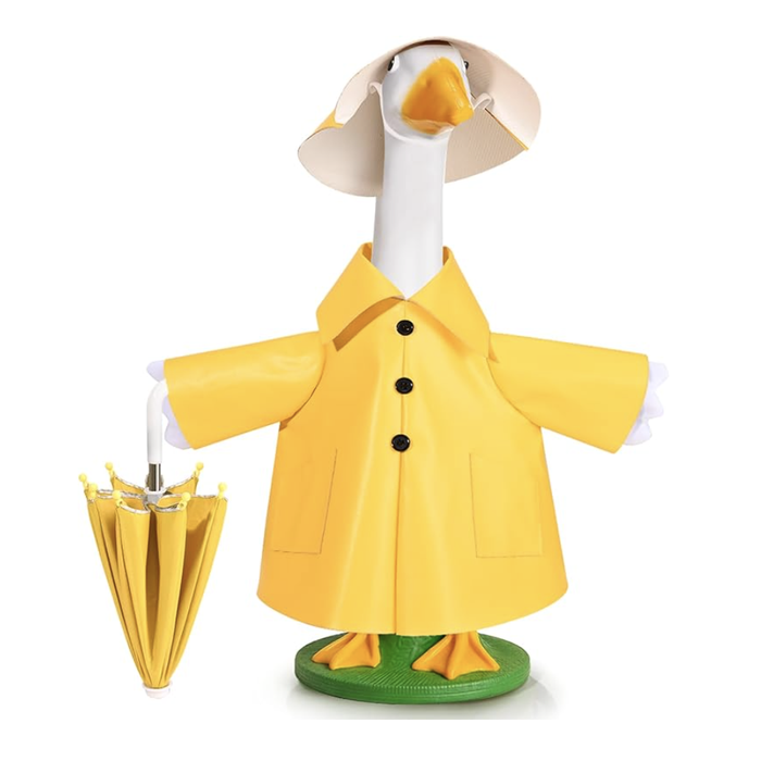 Raincoat Goose Outfit